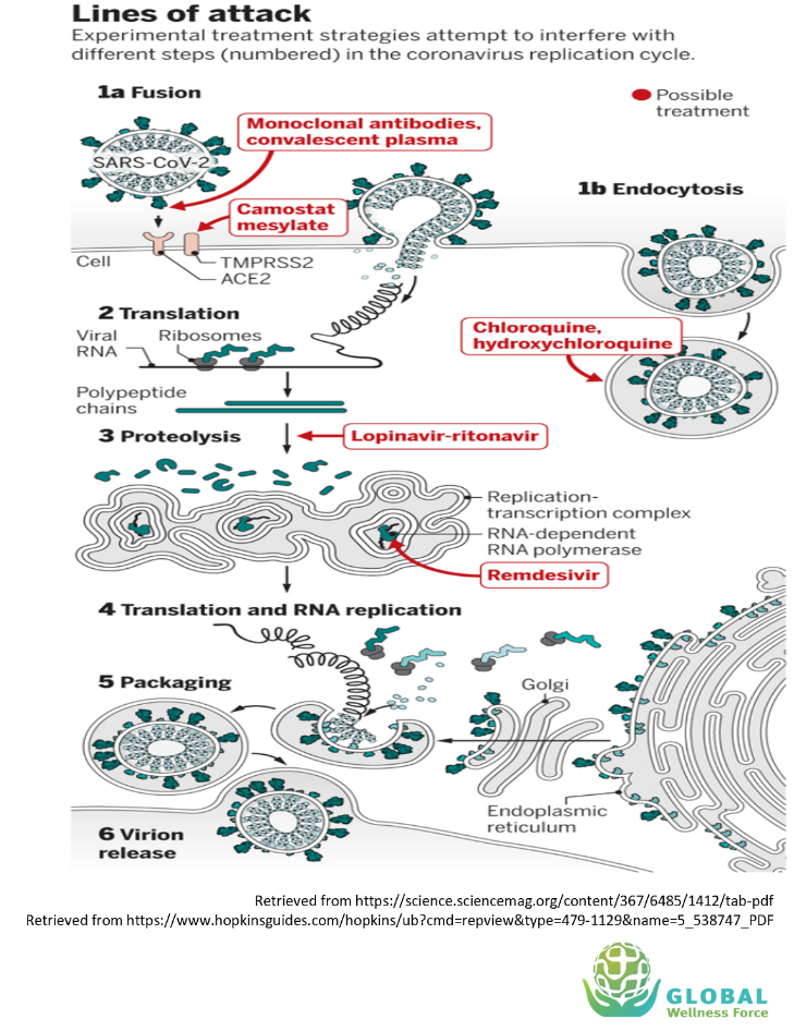 Knowledge Center Cvd Treatment