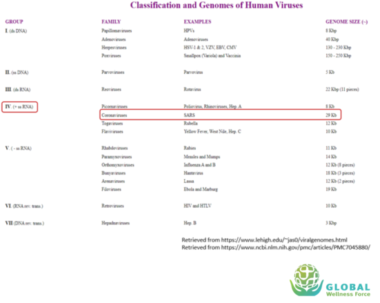 Knowledge Center Cvd-19 What is Cvd